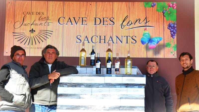 la-cave-cooperative-des-bons-sachants-a-obtenu-deux-medailles-a-orange-et-quatre-a-paris-dont-2-en-m-1775203577_64423658bcc96b8423658bcc99c423v_