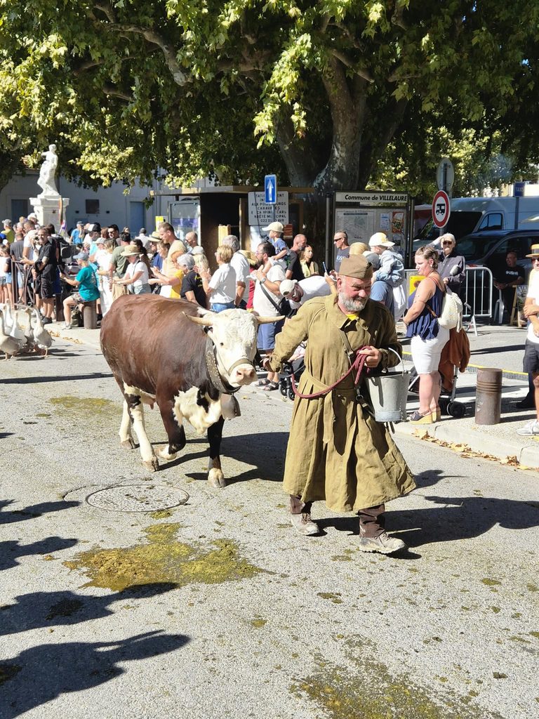 WhatsApp-Image-32026-09-13-at-11.27.40-768x1024-1 Fête Paysanne à Villelaure : retour en images sur une journée entre chevaux, tracteurs et traditions !