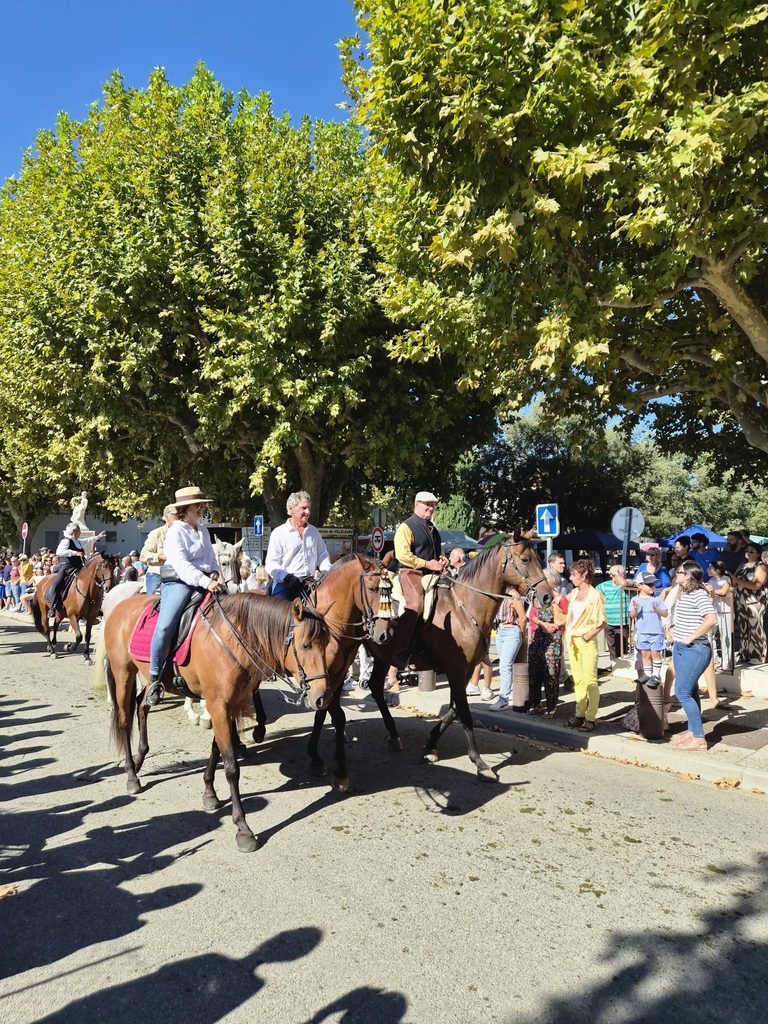 WhatsApp-Image-92026-09-13-at-11.27.42-768x1024 Fête Paysanne à Villelaure : retour en images sur une journée entre chevaux, tracteurs et traditions !