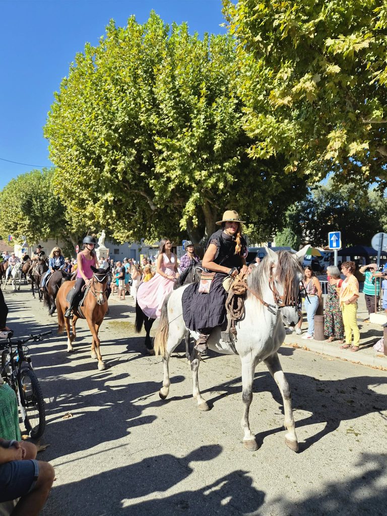 WhatsApp-Image-92026-09-13-at-11.27.43-768x1024-1 Fête Paysanne à Villelaure : retour en images sur une journée entre chevaux, tracteurs et traditions !