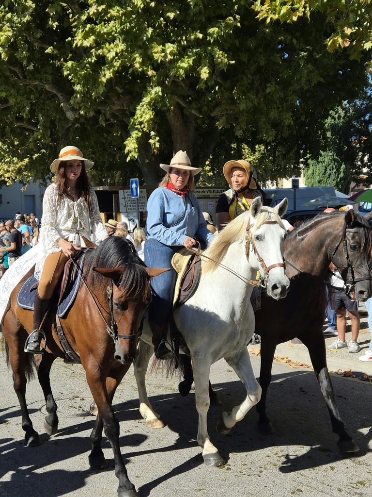 WhatsApp-Image11-2026-09-13-at-11.27.43-768x1024-1 Fête Paysanne à Villelaure : retour en images sur une journée entre chevaux, tracteurs et traditions !
