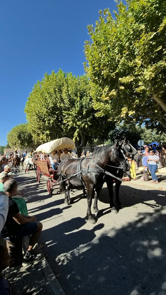 WhatsApp-Image12-2026-09-13-at-11.27.43-577x1024 Fête Paysanne à Villelaure : retour en images sur une journée entre chevaux, tracteurs et traditions !