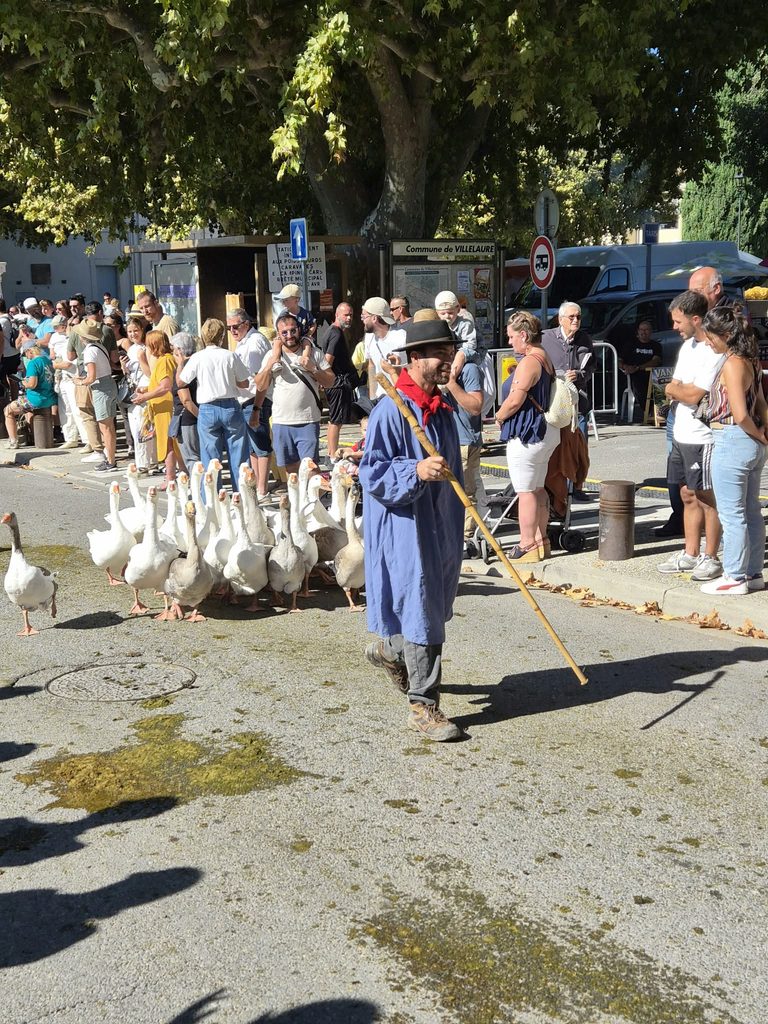 WhatsApp-Image2-2026-09-13-at-11.27.25-768x1024-1 Fête Paysanne à Villelaure : retour en images sur une journée entre chevaux, tracteurs et traditions !