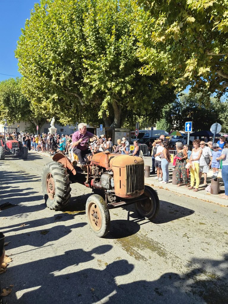 WhatsApp-Image4-2026-09-13-at-11.27.40-768x1024-1 Fête Paysanne à Villelaure : retour en images sur une journée entre chevaux, tracteurs et traditions !